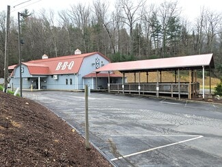 Plus de détails pour 701 NC Highway 9, Black Mountain, NC - Commerce de détail à vendre