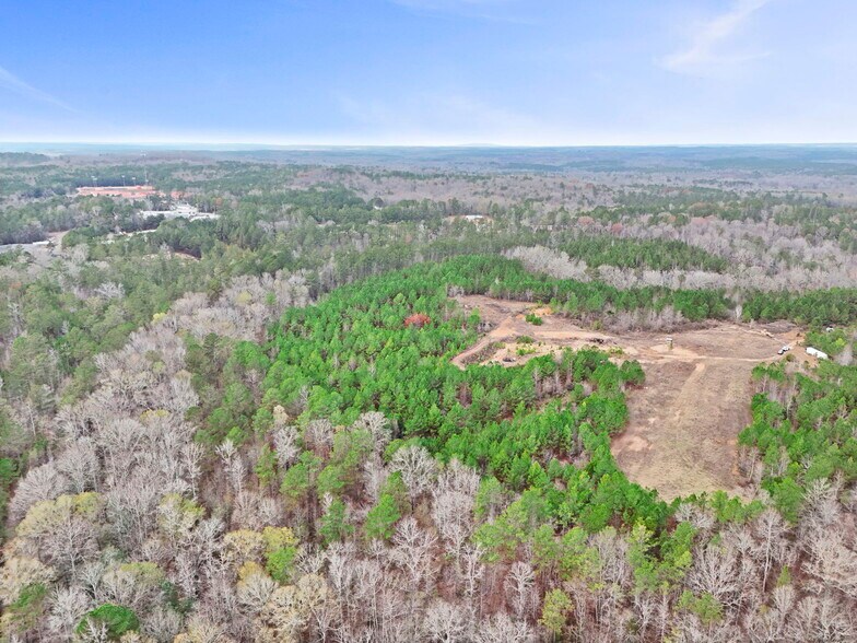 16.31+/- AC Franklin Parkway Franklin GA 30217, Franklin, GA à vendre - Photo principale - Image 1 de 26