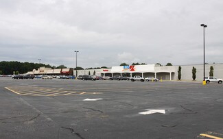 Plus de détails pour 2420 Wisteria Blvd, Snellville, GA - Commerce de détail à louer