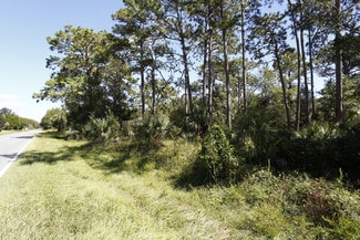 More details for 7852-7860 W Homosassa Trl, Homosassa, FL - Land for Sale