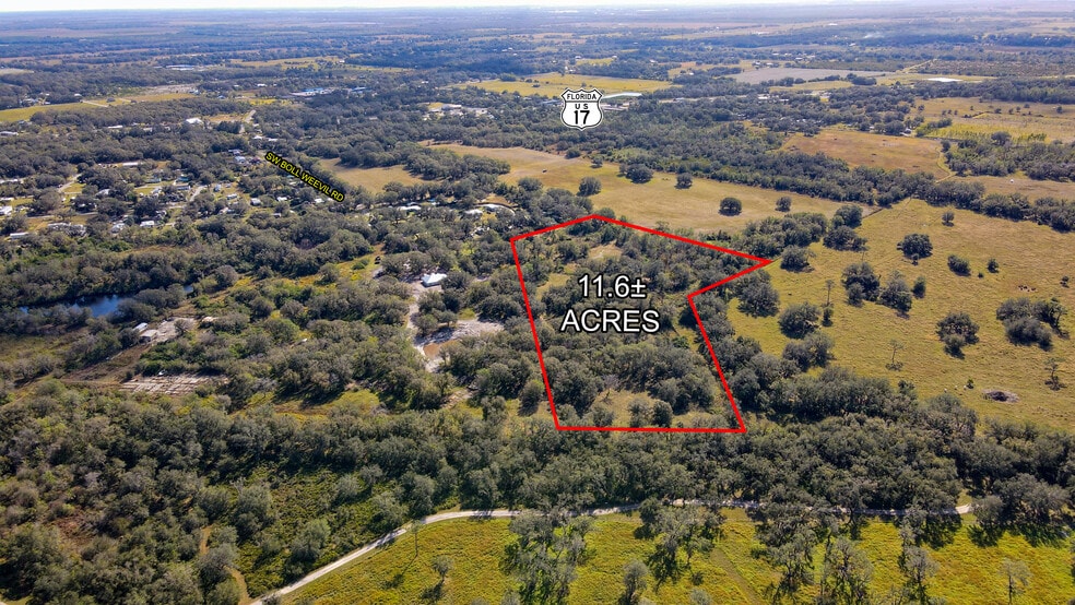 3128 SW Boll Weevil Rd, Arcadia, FL à vendre - Aérien - Image 3 de 8