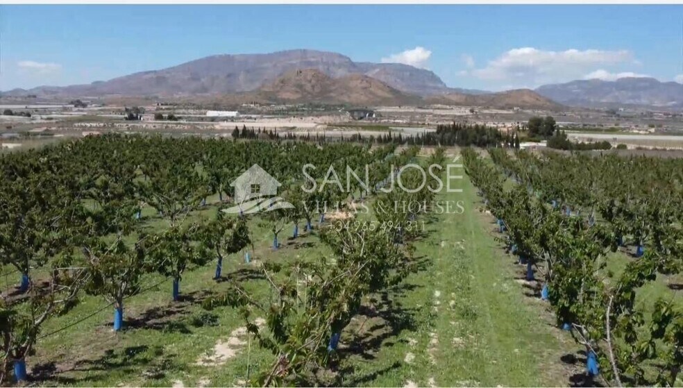 Terrain dans Monforte del Cid, Alicante à vendre - Aérien - Image 1 de 10