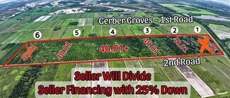 Plus de détails pour 2nd Road Rd, LaBelle, FL - Terrain à vendre