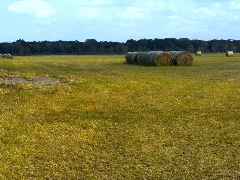 0 0 CR 321, Louise, TX à vendre - Photo du bâtiment - Image 3 de 12
