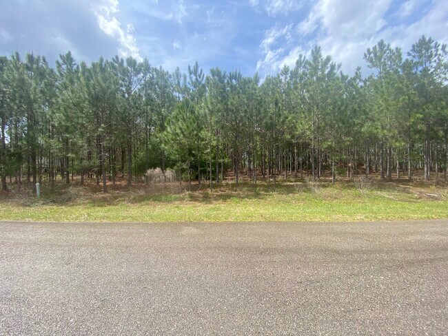 Plus de détails pour Aspen Ave., Ocala, FL - Terrain à vendre