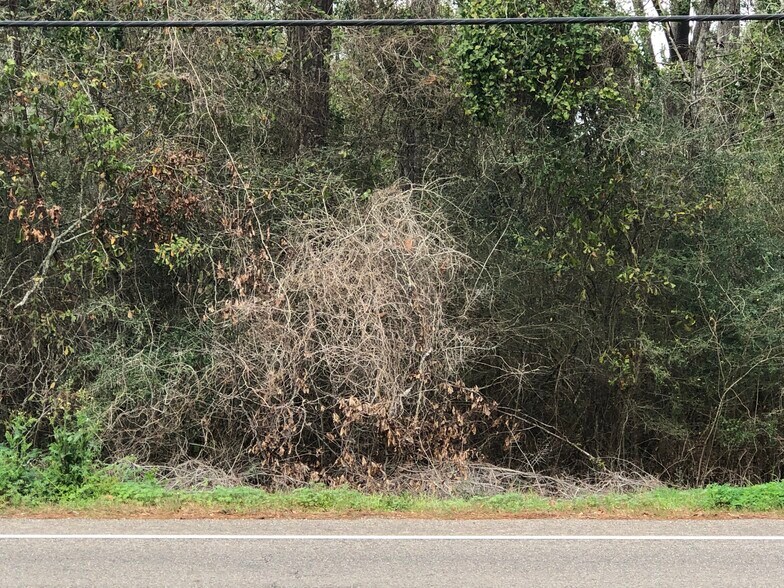 Hwy 190 and Hwy 22, Mandeville, LA for sale - Building Photo - Image 1 of 5