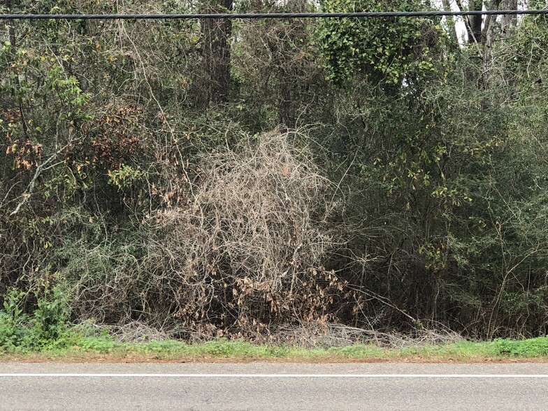 Hwy 190 and Hwy 22, Mandeville, LA for lease - Building Photo - Image 3 of 4