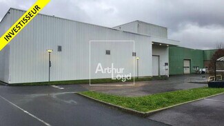 Plus de détails pour Flex à vendre