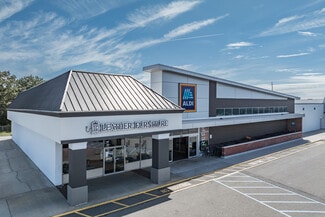 More details for 207-225 Glen Cove Rd, Carle Place, NY - Retail for Lease