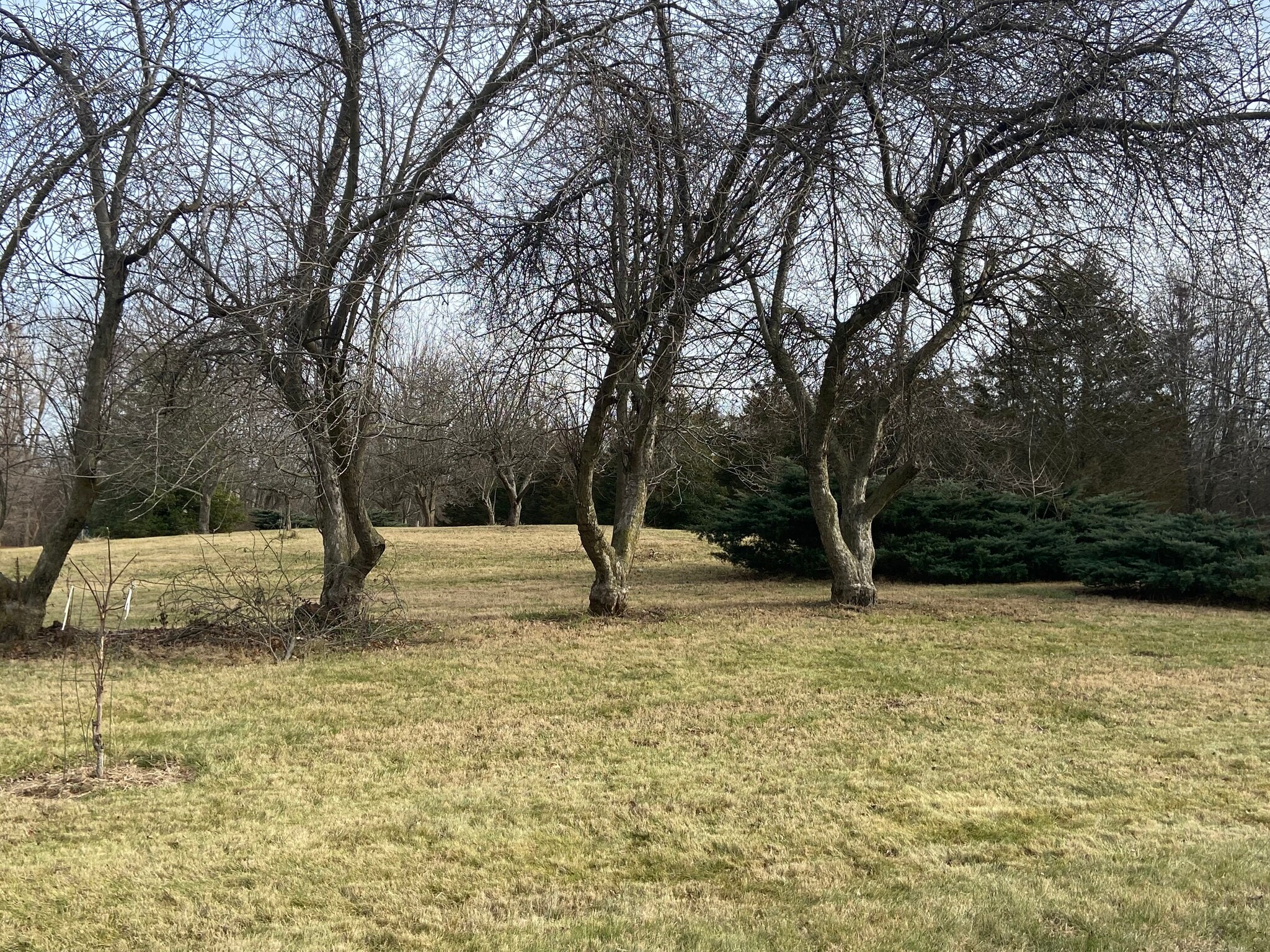 1365 W Stones Crossing Rd, Greenwood, IN à vendre Autre- Image 1 de 12