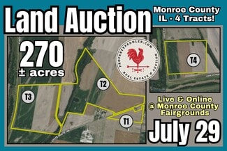 More details for 000 State Route 156, Valmeyer, IL - Land for Sale