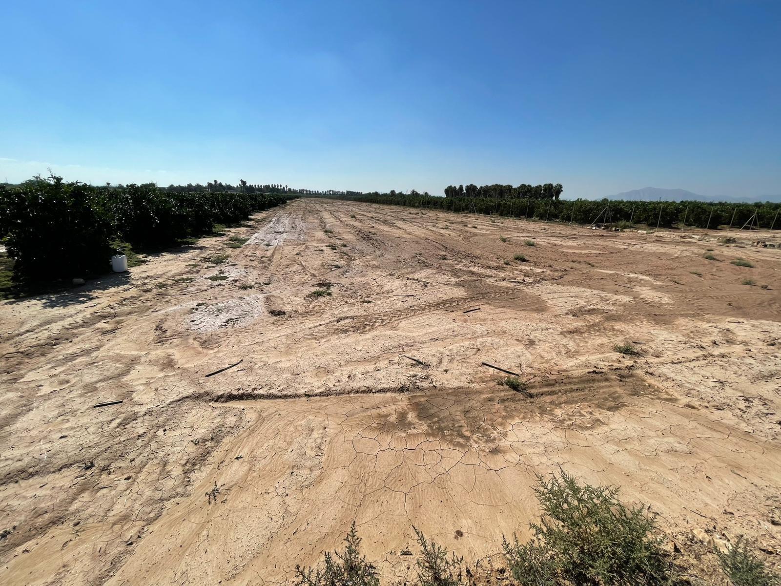 Land in Crevillent, Alicante for sale Site Plan- Image 1 of 4