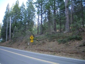 1359 Highway 4, Arnold, CA for sale Primary Photo- Image 1 of 4