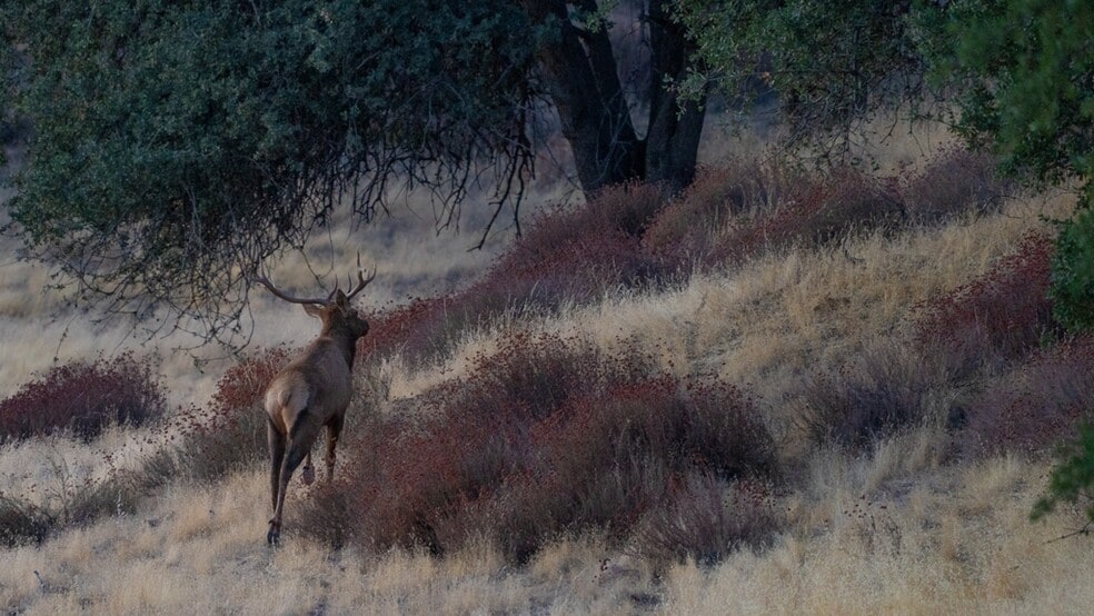 47069 Crump Ln, Coalinga, CA à vendre - Photo principale - Image 2 de 13