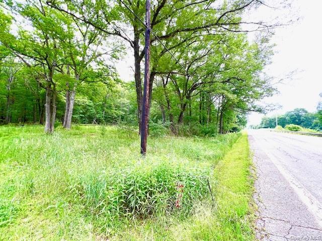 7584 NY-97, Narrowsburg, NY à vendre - Photo du bâtiment - Image 2 de 10
