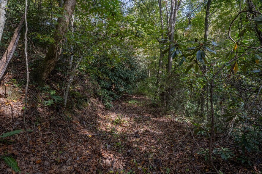 4040 Asheville Hwy, Pisgah Forest, NC à vendre - Autre - Image 2 de 33