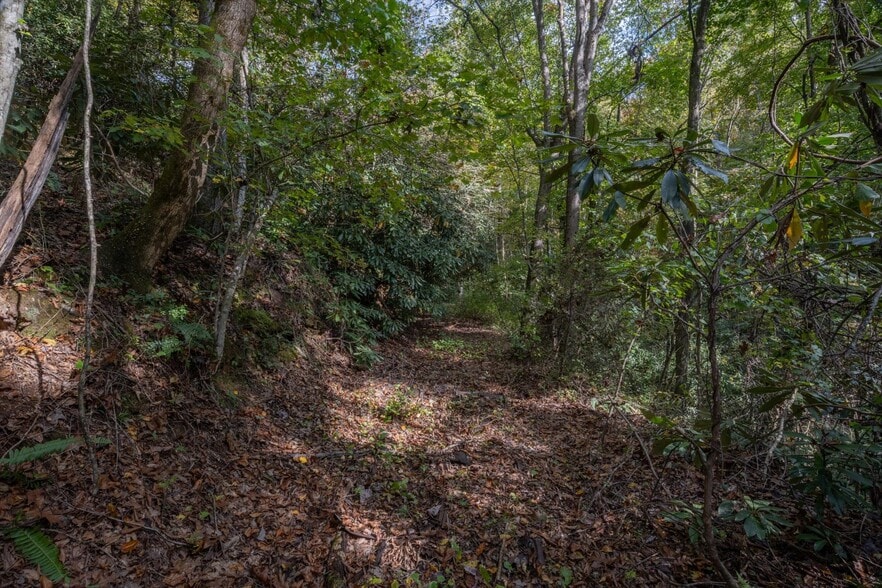 4040 Asheville Hwy, Pisgah Forest, NC for sale - Other - Image 2 of 33