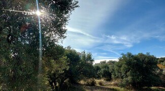Plus de détails pour Terrain à vendre