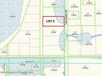 More details for 00000 Lake Lindsey Rd, Brooksville, FL - Land for Sale