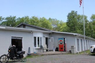 Plus de détails pour 235 Dorantown Rd, Covington Township, PA - Flex à vendre