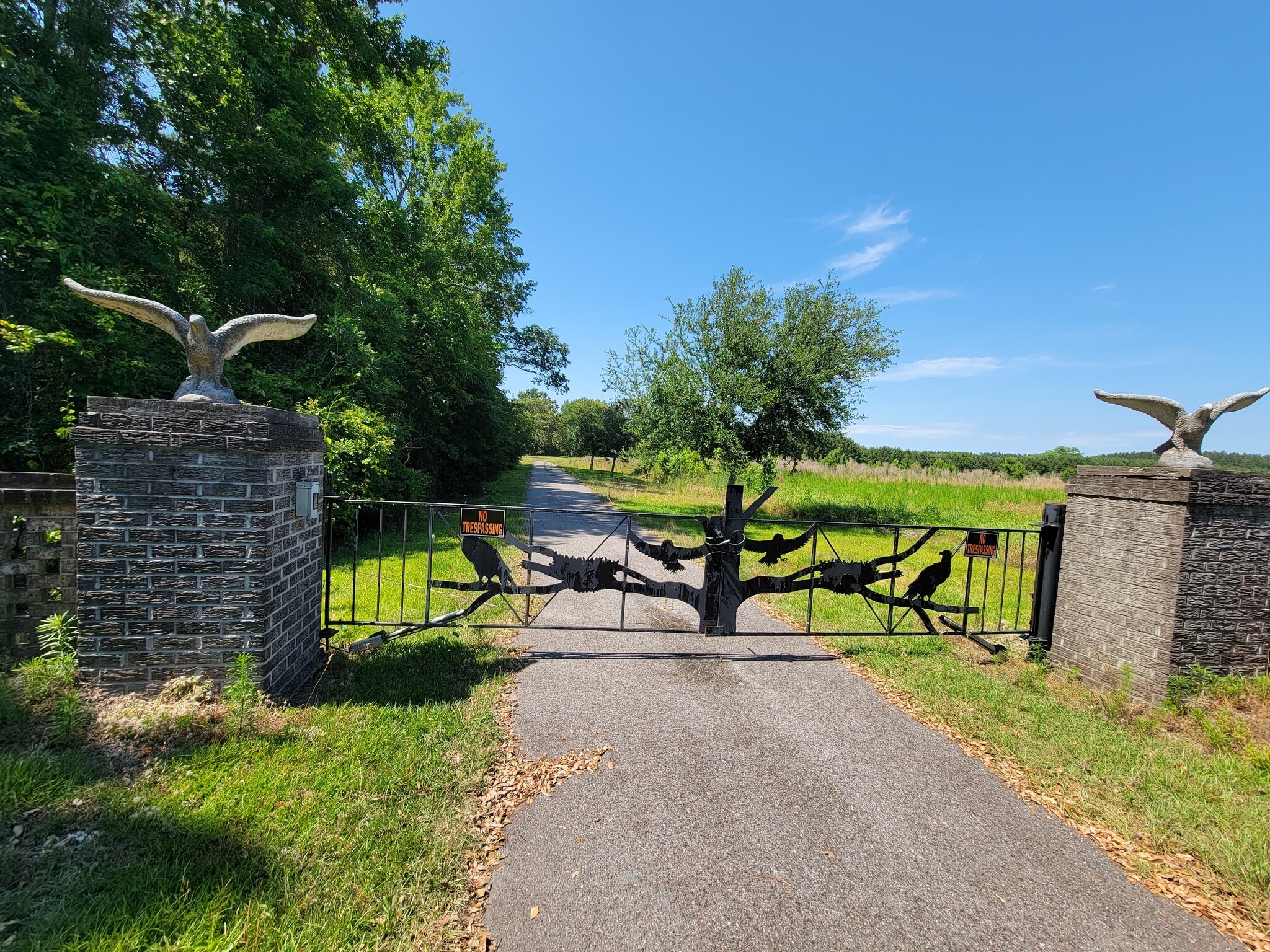 99 Ashley Ln, Ruffin, SC à vendre Autre- Image 1 de 24