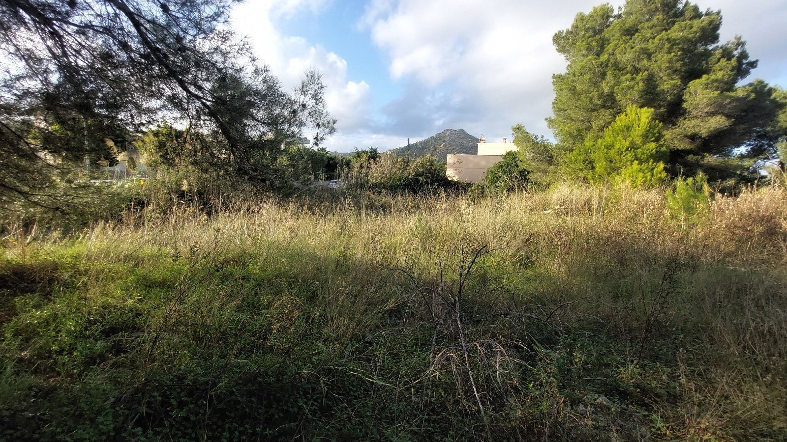 Land in Alcúdia, Islas Baleares for sale Building Photo- Image 1 of 4