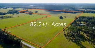 More details for 1010 215th Ave, Morriston, FL - Land for Sale