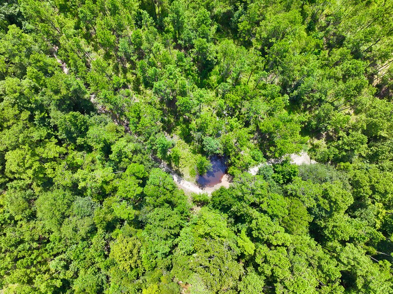 0 Slim Palmer Road, Zavalla, TX à vendre - Photo du bâtiment - Image 3 de 20