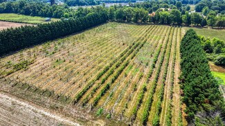 Plus de détails pour 1683 Peach Basket Rd, Felton, DE - Spécialité à vendre