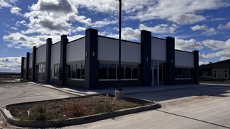 Plus de détails pour 71-81 Miller Drive, North Aurora, IL - Bureau à louer