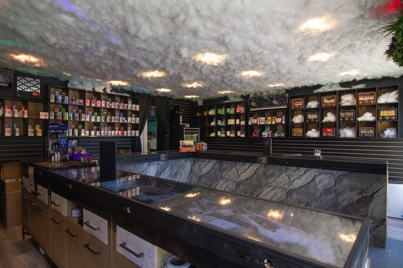 195 Dr Martin Luther King Jr St N, Saint Petersburg, FL 33701 - Unité 195 -  - Photo intérieure - Image 1 of 10