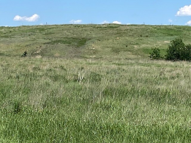 29392 239th St, Vivian, SD à vendre - Autre - Image 3 de 9