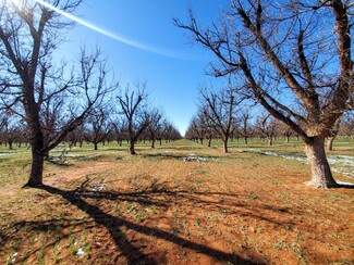 Plus de détails pour 0 County Road 319, Seminole, TX - Terrain à vendre