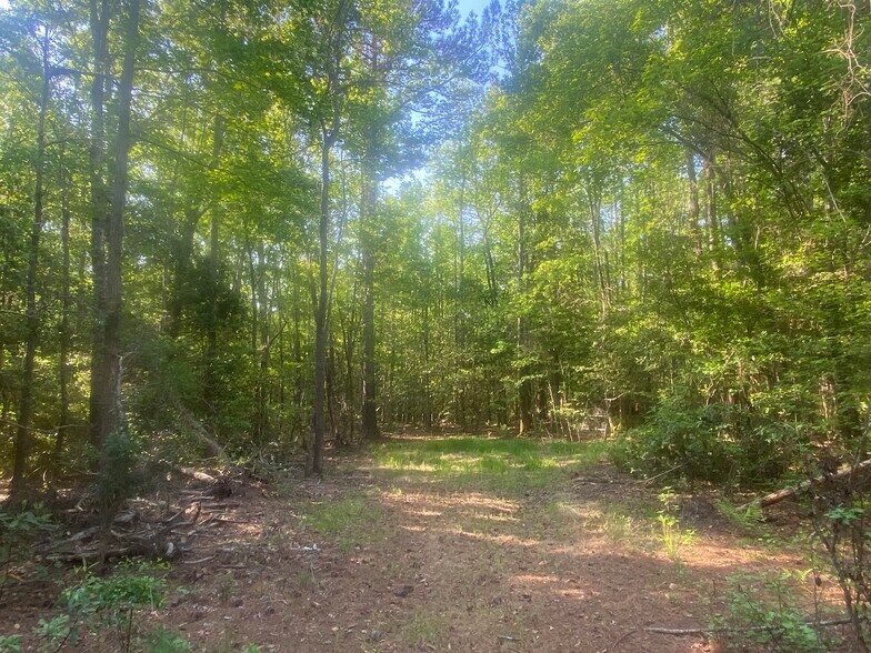 Fort Motte Rd, Saint Matthews, SC à vendre - Photo du bâtiment - Image 3 de 13