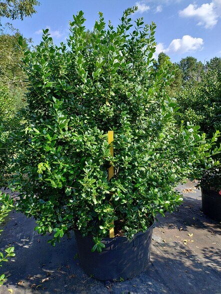 224 Co Rd 096, Jasper, TX à vendre - Autre - Image 3 de 16