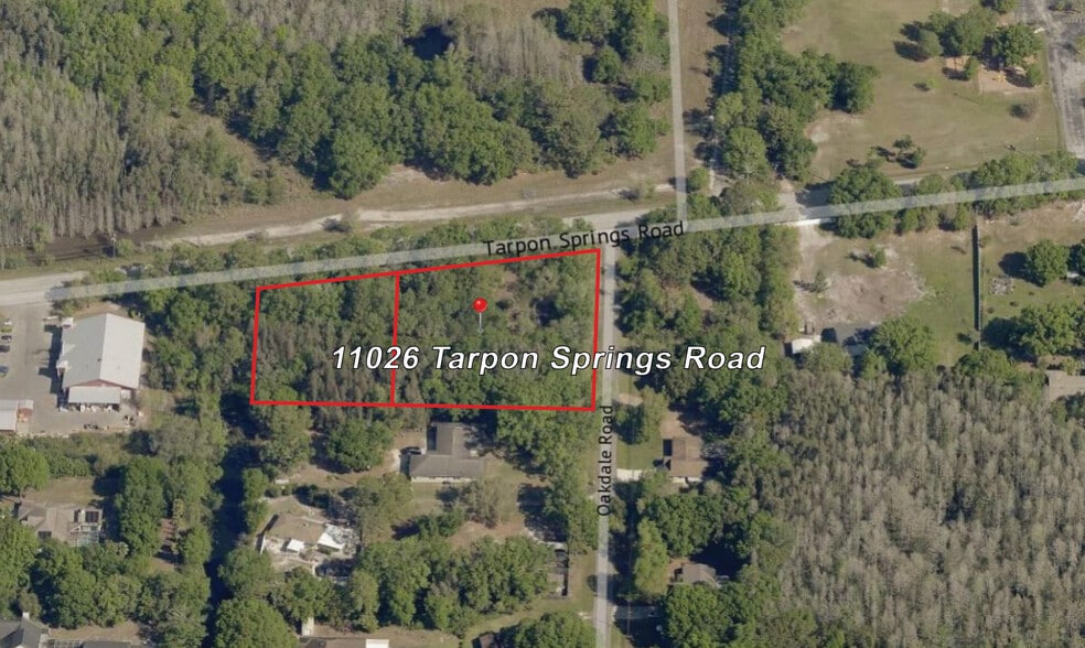 11026 Tarpon Springs Rd, Odessa, FL for sale - Building Photo - Image 1 of 4
