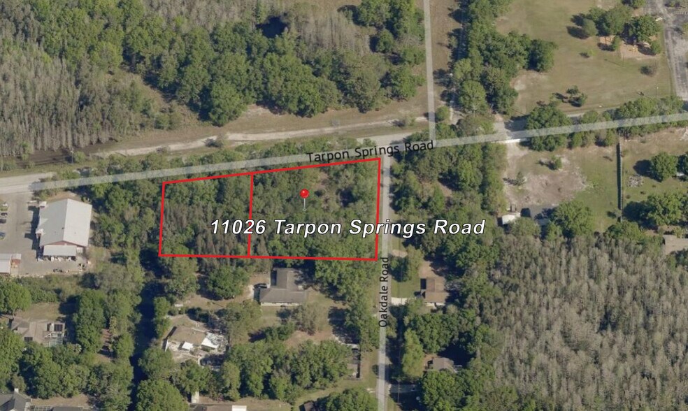 11026 Tarpon Springs Rd, Odessa, FL à vendre - Photo du bâtiment - Image 1 de 4