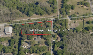 Plus de détails pour 11026 Tarpon Springs Rd, Odessa, FL - Terrain à vendre