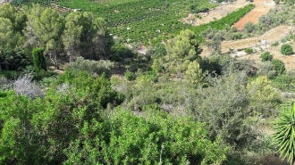 Carrer de los Naranjos, Pego, Alicante for sale - Building Photo - Image 2 of 10