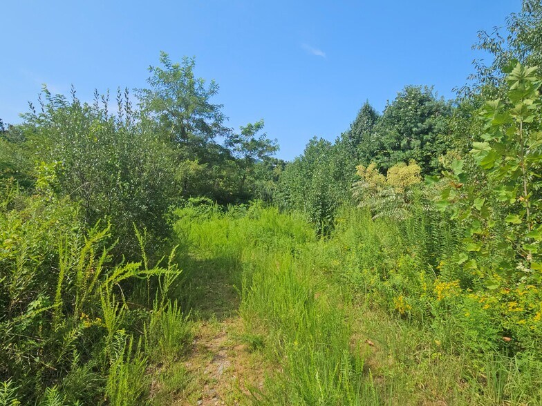 522 Buckeye Access Road, Swannanoa, NC à vendre - Photo du bâtiment - Image 2 de 46