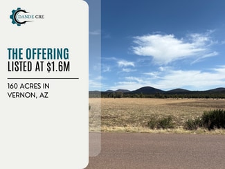 More details for Vernon County rd, Vernon, AZ - Land for Sale