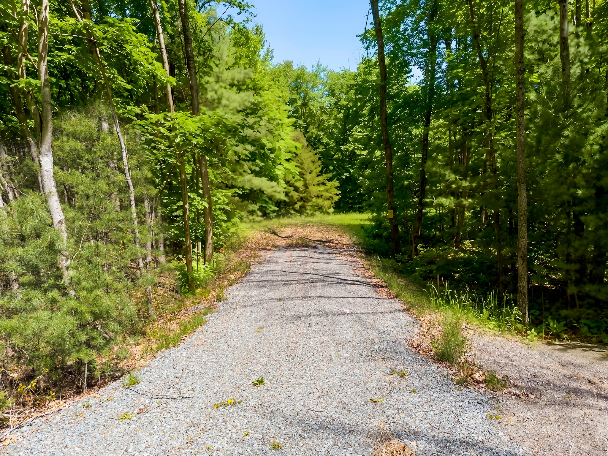 25 Mc Dermott Rd, Mechanicville, NY for sale Primary Photo- Image 1 of 15