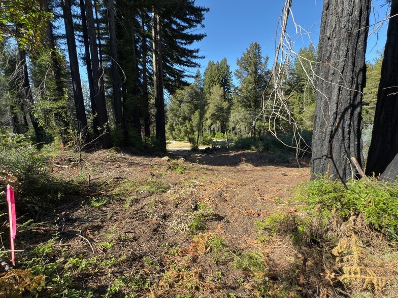 0 Fallen Leaf Drive, Boulder Creek, CA for sale - Building Photo - Image 3 of 38