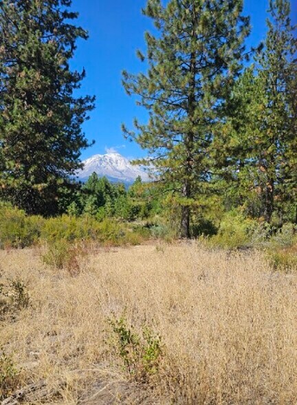 9 Parkside Court, Mccloud, CA à vendre - Photo principale - Image 1 de 7