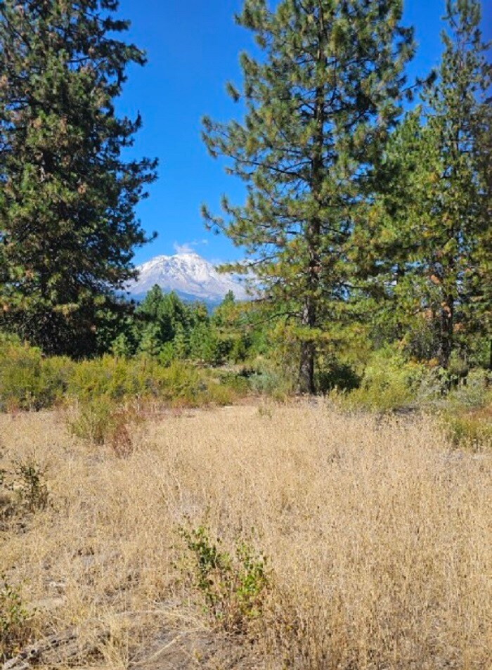 9 Parkside Court, Mccloud, CA à vendre Photo principale- Image 1 de 8