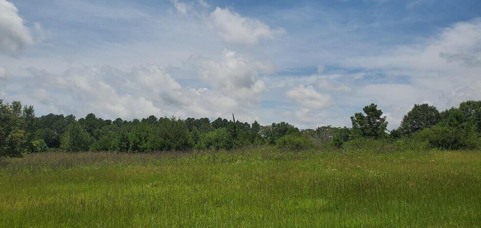 Terrain dans Dothan, AL à vendre - Autre - Image 1 de 7