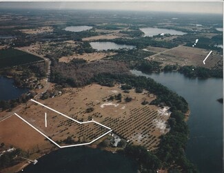 More details for 19302 Gunn Hwy, Odessa, FL - Land for Sale