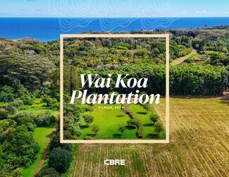 Plus de détails pour 5-2723 Kuhio Hwy, Kilauea, HI - Terrain à vendre