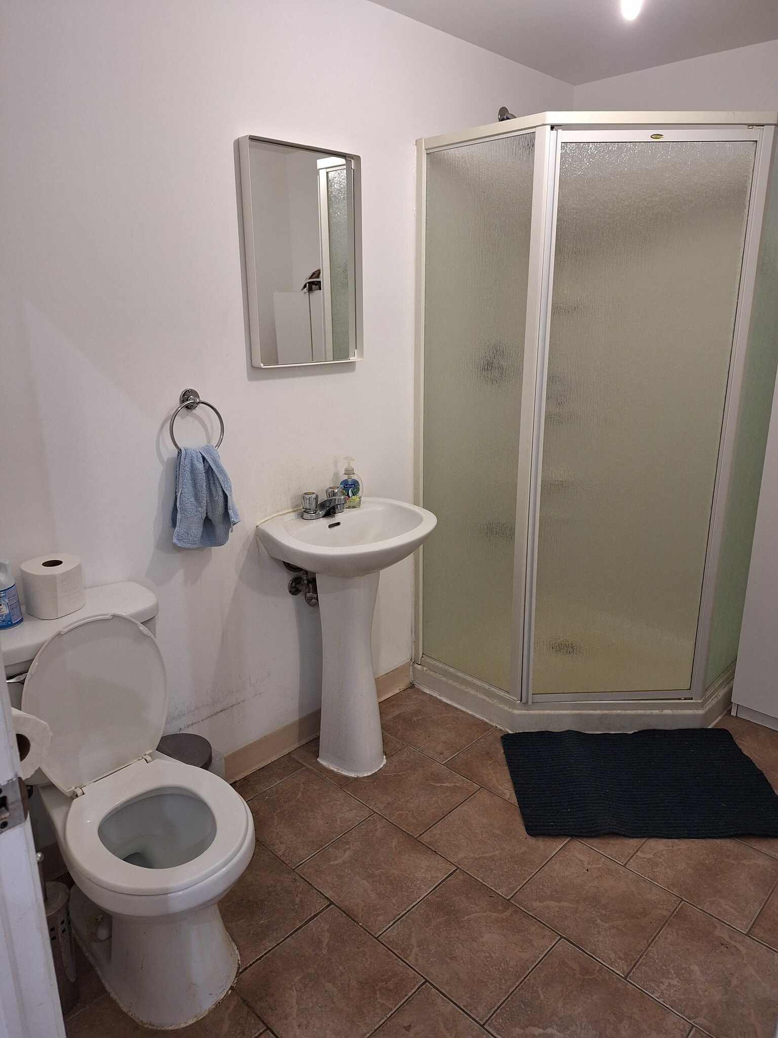 4035 Rue Saint-Ambroise, Montréal, QC à louer Photo intérieure- Image 1 de 4