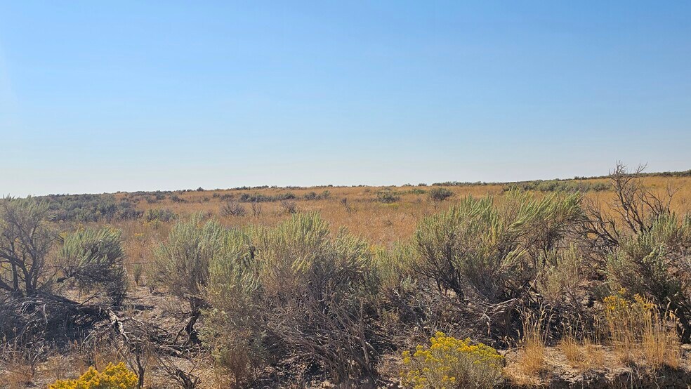 1650 3100 w, Aberdeen, ID à vendre - Photo du bâtiment - Image 2 de 10